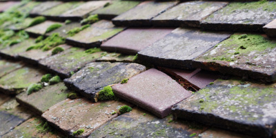 Porthyrhyd roof repair costs